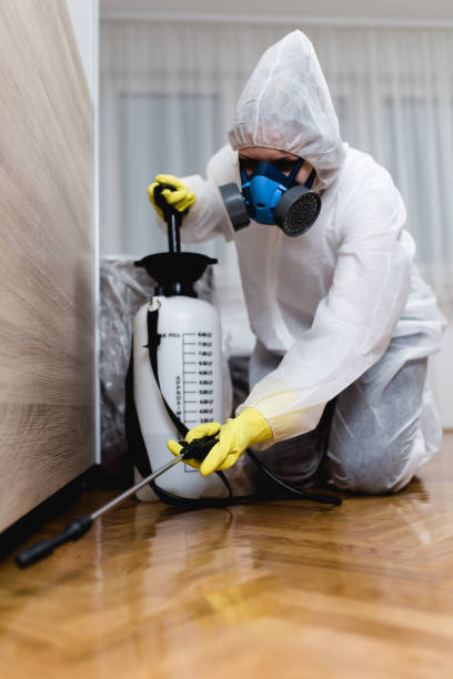 Best Emergency Pest Control  in Lathrup Village, MI